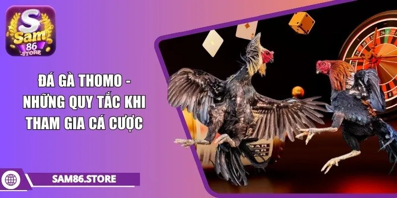 đá gà thomo